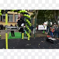 车辆树康乐比赛-树-空若网 车辆树康乐比赛-树-空若网