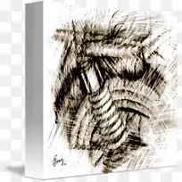 绘制/m/02csf树-树-空若网 绘制/m/02csf树-树-空若网