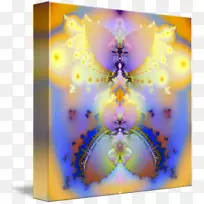 传粉蝶对称蝴蝶和飞蛾-蝴蝶-空若网 传粉蝶对称蝴蝶和飞蛾-蝴蝶-空若网