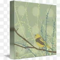 展览馆包鸟帆布树枝动物.春天的芽-空若网 展览馆包鸟帆布树枝动物.春天的芽-空若网