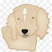 小狗狮子狗鼻子-小狗-空若网 小狗狮子狗鼻子-小狗-空若网