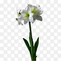 �ٺϻ��ٺ��л��ٺϻ�-������