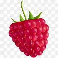 ��ݮ������ͼ��ͼ��.raspberrie-������