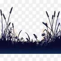 ���Ʋ�-������