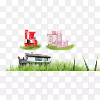 草坪草免费-草屋产品-空若网 草坪草免费-草屋产品-空若网