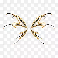 剪贴画线-创意翅膀照片-空若网 剪贴画线-创意翅膀照片-空若网