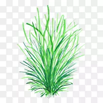 计算机图形绘制.手绘草-空若网 计算机图形绘制.手绘草-空若网