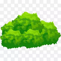 ��ɫ�Ĵ�����-�ֻ��̲�-������