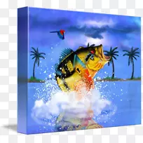 孔雀贝斯生态库包图昆虫橙孔雀-空若网 孔雀贝斯生态库包图昆虫橙孔雀-空若网