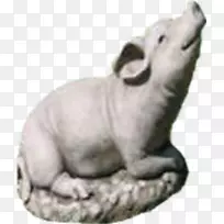 狗动物鼻子陆生动物-狗-空若网 狗动物鼻子陆生动物-狗-空若网