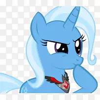 胡须,猫,马,鼻子,-猫-空若网 胡须,猫,马,鼻子,-猫-空若网