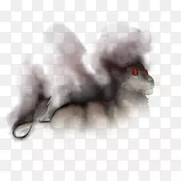 胡须,小猫,鼻子,波斯语,吸烟-狮子的骄傲-空若网 胡须,小猫,鼻子,波斯语,吸烟-狮子的骄傲-空若网