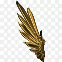 png图片图像gif文件格式天使翼-空若网 png图片图像gif文件格式天使翼-空若网