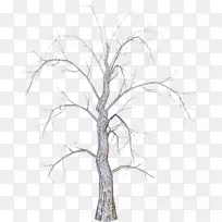 ��֦ʥ����-������-������