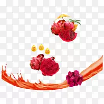 火龙果-鲜龙果-空若网 火龙果-鲜龙果-空若网