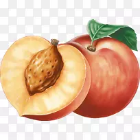 油桃剪贴画-桃PNG图像-空若网 油桃剪贴画-桃PNG图像-空若网