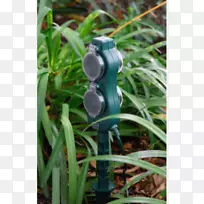 禾本科-新品种抵达-空若网 禾本科-新品种抵达-空若网