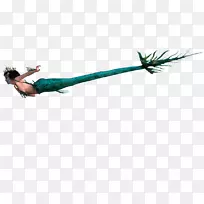 树-树-空若网 树-树-空若网