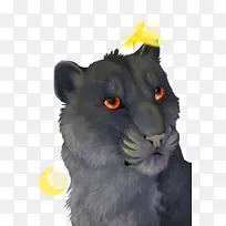 胡须猫鼻子猫-空若网 胡须猫鼻子猫-空若网