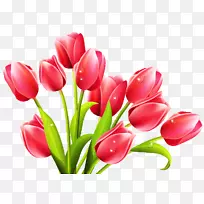 png图片剪辑艺术郁金香封装后记-花-空若网 png图片剪辑艺术郁金香封装后记-花-空若网