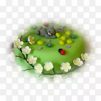 ���յ���������յ���װ��-�������-������