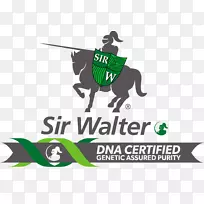 Ϥ��ֲ�ƺ�ݰ¹�˹����-dna����-������