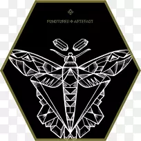 �����������Ʒ����-����-������