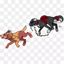 狗猫野马包动物-狗-空若网 狗猫野马包动物-狗-空若网