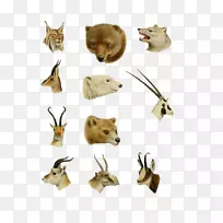 产品设计动物.设计-空若网 产品设计动物.设计-空若网