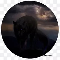 ��è��è���Ӻڱ�è-������