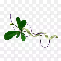 Ҷ��-Ҷ����-������