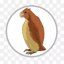 OWL��ѧ������ѧ����ѧOWL-������