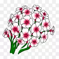 花卉设计切花花束-空若网 花卉设计切花花束-空若网