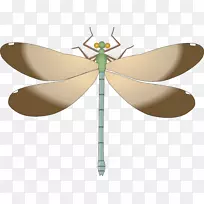 �����������Ѽ�������ľ�鱦����-������