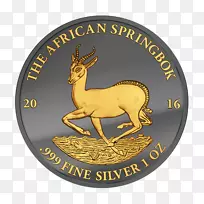 ¼ÓÅî½ð·ÇÖÞÌøÁçÒø±Ò½ð±Ò-¿ÕÈôÍø ¼ÓÅî½ð·ÇÖÞÌøÁçÒø±Ò½ð±Ò-¿ÕÈôÍø