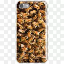 蜜蜂蜂巢-空若网 蜜蜂蜂巢-空若网