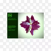 网站开发adobe Dreamweaver adobe创意云adobe系统计算机软件-万维网-空若网 网站开发adobe Dreamweaver adobe创意云adobe系统计算机软件-万维网-空若网