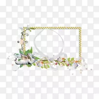 下载箱-空若网 下载箱-空若网