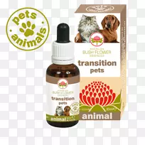 �Ĵ����ǹ�ľ���ܾ���ҩ��-������