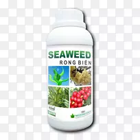 海藻龙果成分海藻化妆品-空若网 海藻龙果成分海藻化妆品-空若网