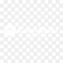 ����ʿ����ţ��ī�����籩�ƽ𺣰�����Ŧ��˹����ʿ��ʿ����������˰Ĵ�����-������