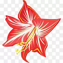 剪贴画球衣百合对称切花颠茄叶-空若网 剪贴画球衣百合对称切花颠茄叶-空若网