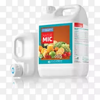 ��ֲ�������������ֲ��-������