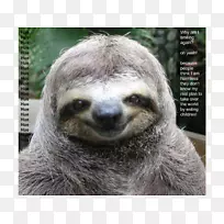 ��è����Ȥ�Ķ���-���������-������