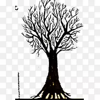 ���ƿ���ֲ���ͼ/m/02csf-��-������