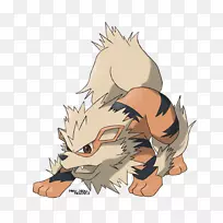 猫科动物-猫-空若网 猫科动物-猫-空若网