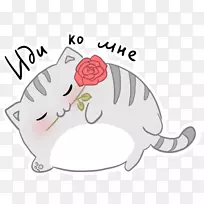 ����è���������ӹ�è-������