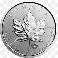 ���ô�����Ҷ��Ҽ��ô���-������