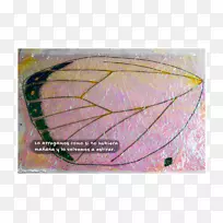 叶系-路-空若网 叶系-路-空若网