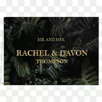 ������ͼƬ������Ӱ��-������